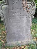 image of grave number 671862